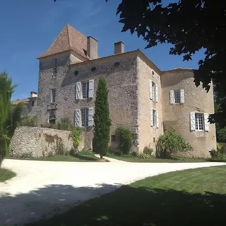 Chateau Barayre - Beautiful 12th Century Castle With Pool And Large Garden