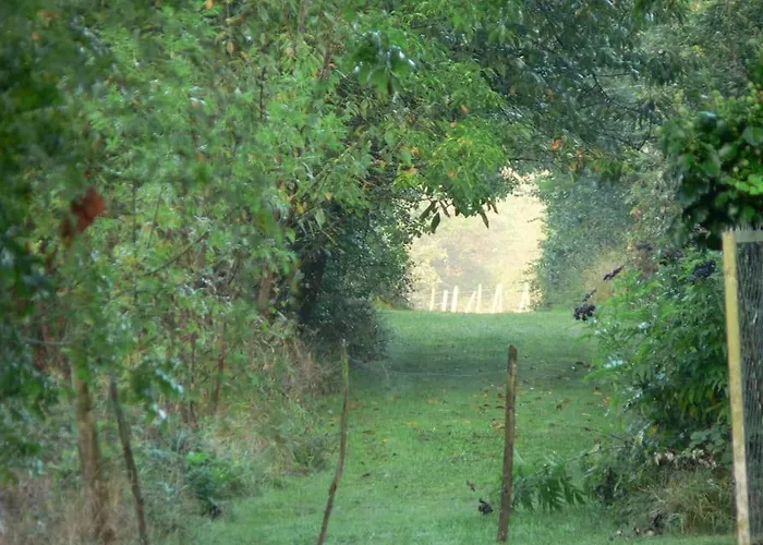 Chateau Barayre - Beautiful 12th Century Castle With Pool And Large Garden *