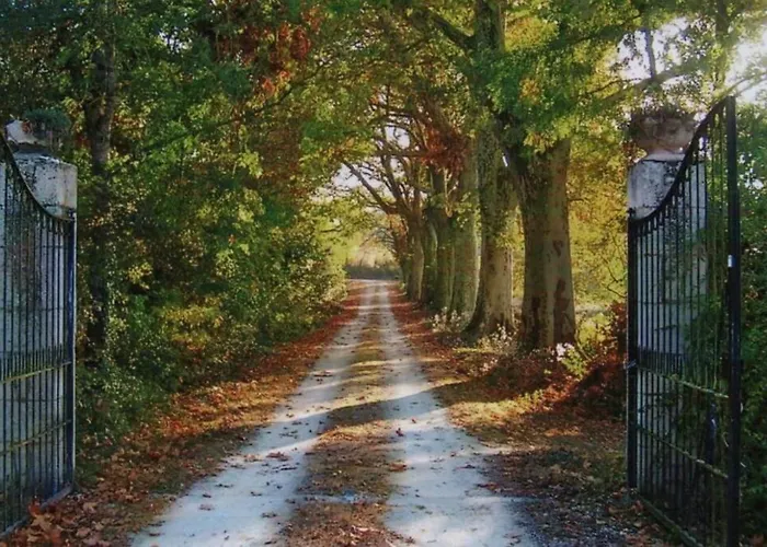 Chateau Barayre - Beautiful 12th Century Castle With Pool And Large Garden *